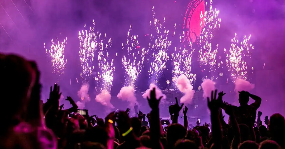 Festival Boxtel: Ontdek de leukste evenementen en muziek