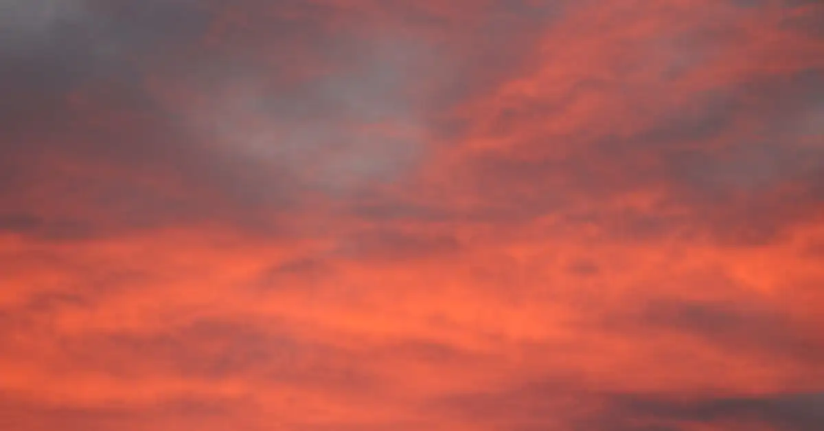 Goede restaurants in Tilburg ontdekken en reserveren
