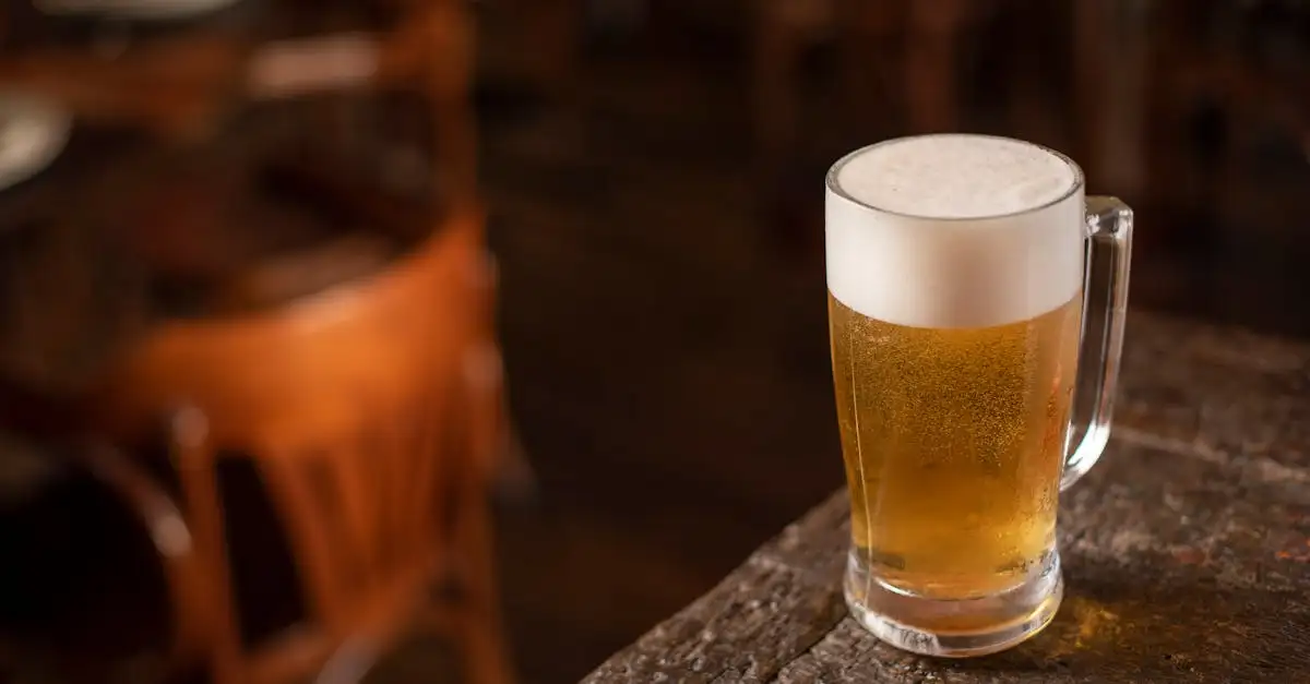 Ontdek de leukste kroegen in Brabant | Cafés en Bier